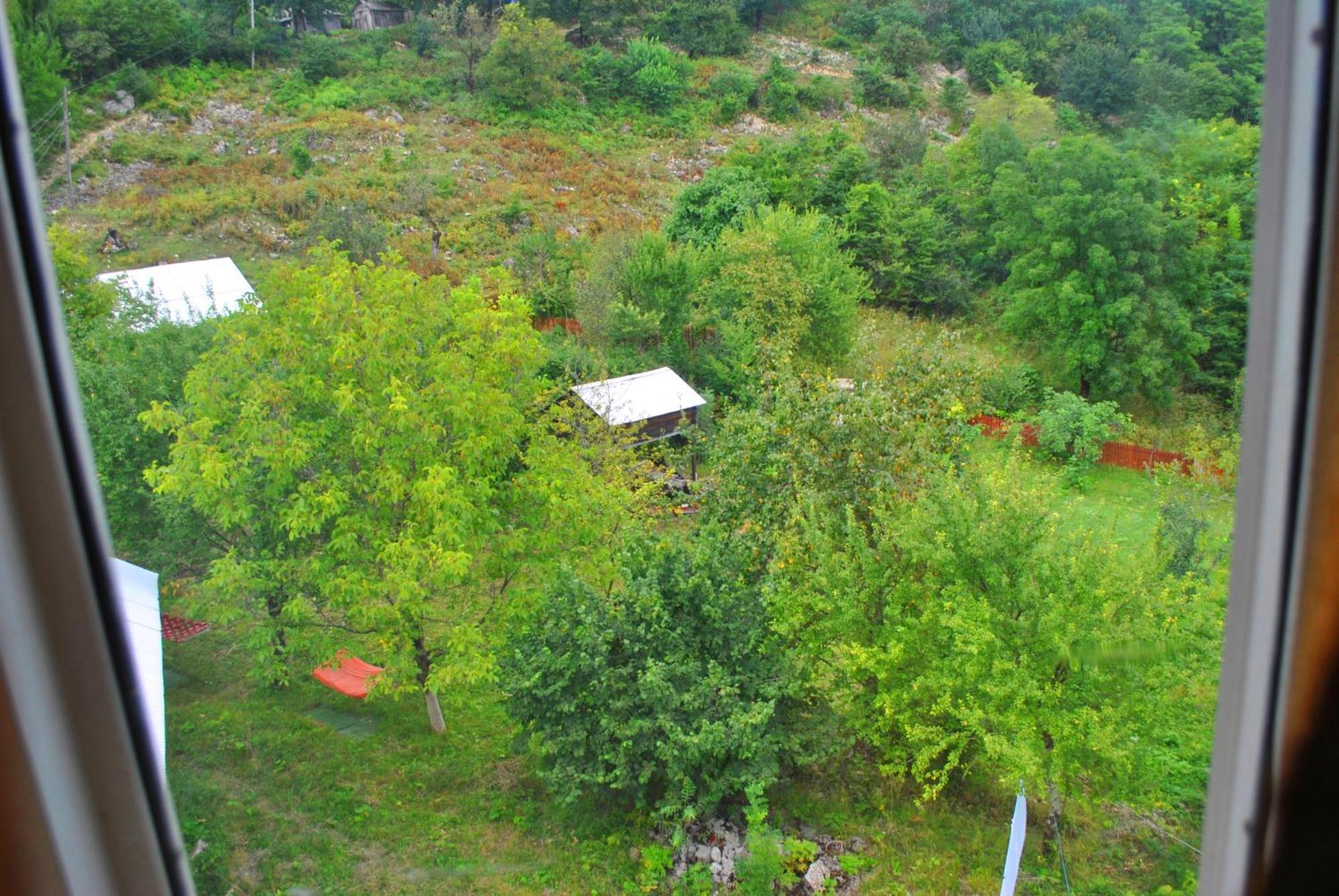 Discover Kinchkha Satsiskvilo Pokój zdjęcie
