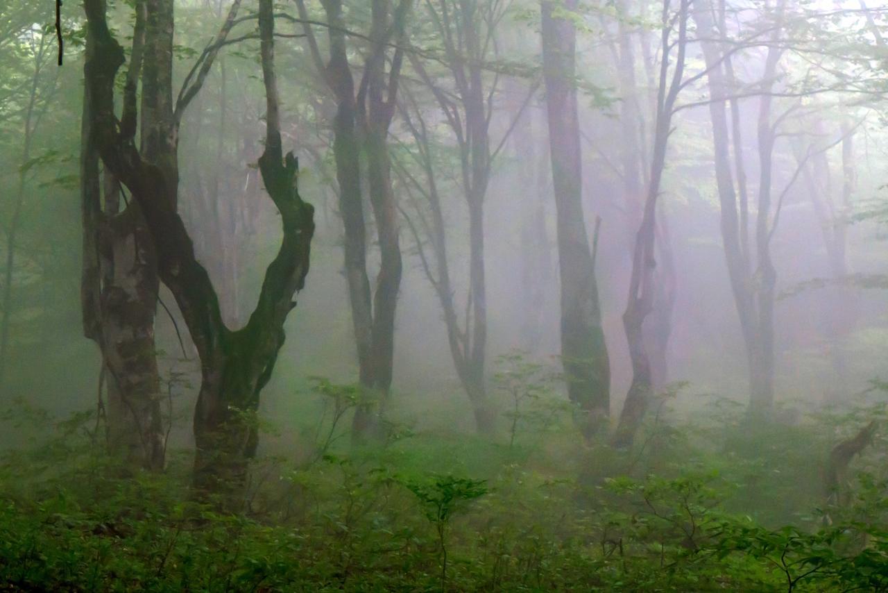 Discover Kinchkha Satsiskvilo Zewnętrze zdjęcie